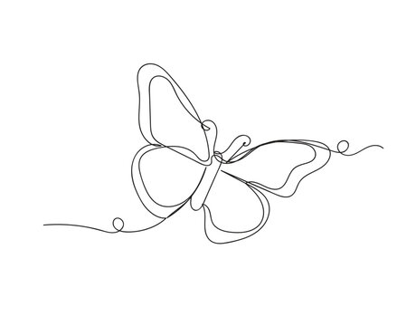 Butterfly in one continuous line drawing isolated vector illustration.