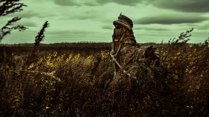 lonely scary scarecrow