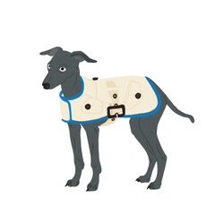 A dog wearing trench coat - a concept illustration of animal