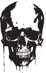 Photo sur Plexiglas Crâne aquarelle teschio bianco e nero , moto , acquerello 03