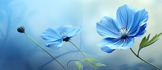 Creating a digital painting effect using photo manipulation techniques on a beautiful blue flower in the spring - obrazy, fototapety, plakaty