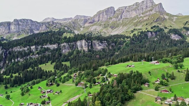 Resort plantations of Swiss pine flora of Braunwald Glarnerland