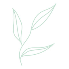 aesthetic minimalism element