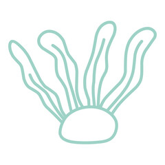 Hand Drawn Algae Plant