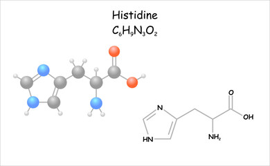 Stylized molecule model/structural formula of histidine. 