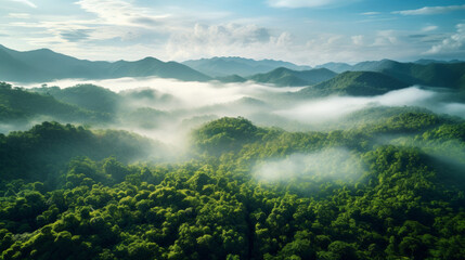 Rainforest or jungle aerial view. Top view of a green forest with mist, for earth day concept - obrazy, fototapety, plakaty