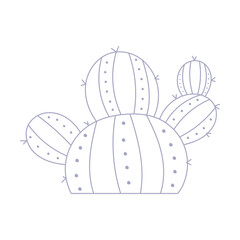 Doodle Cactus Houseplant