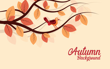 Autumn landscape with autumn leaves on the branches of trees