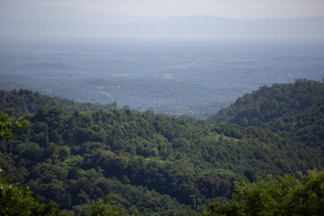 Beautiful leafy landscape in a mountainous area with a tropical climate.