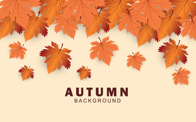 Autumn background with beautiful leaves