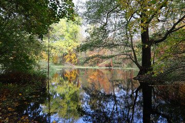 Autumn at a lake in which the colorful trees are reflected, Berlin, Germany 