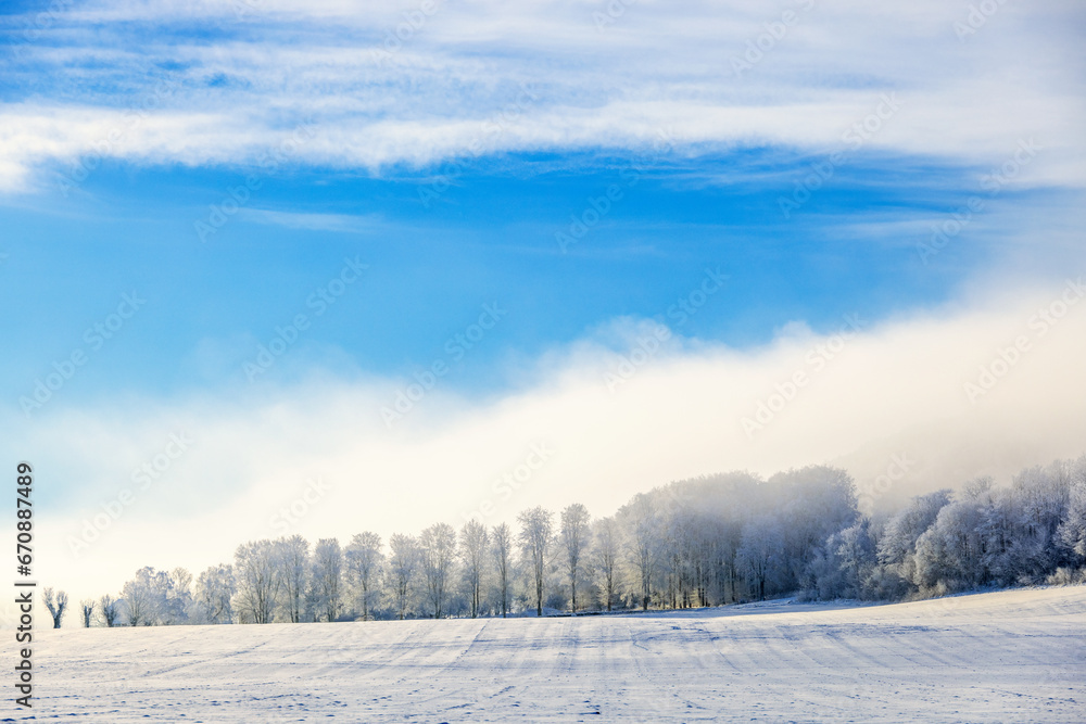 Canvas Prints Snowy field with frosty trees on a cold winter day in the countryside