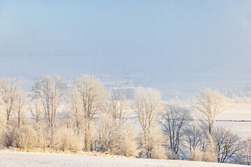 Winter day in the countryside with snow and frost