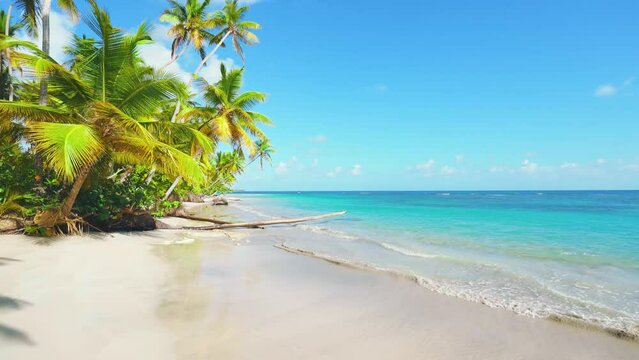 Landscape of a palm beach of the Bahamas with white sand and turquoise waves. Sea water and tropical beach. Aim for a happy honeymoon. Amazing island holiday getaway. Background coast for holidays.