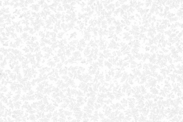 snow  on the transparent backgrounds