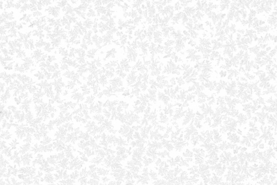 snow  on the transparent backgrounds