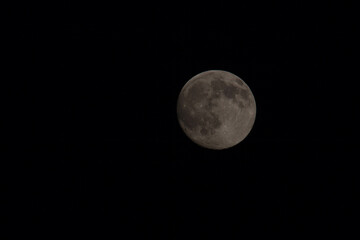 Moon in the night
