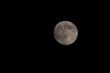 Moon in the night