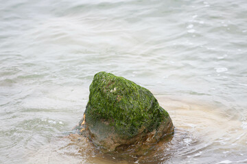 Rock in the sea