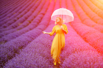 Woman lavender field. A middle-aged woman in a lavender field walks under an umbrella on a rainy...