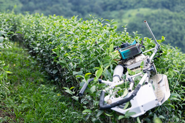 Cutting machine for cuts the upper portions of the tea plants. It suitable for large-scale tea plantations where manual labor can be costly and time-consuming.