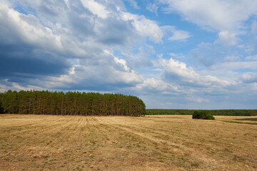 Sommer 2022 in Sachsen	