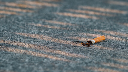 close up of a black and red carpet
