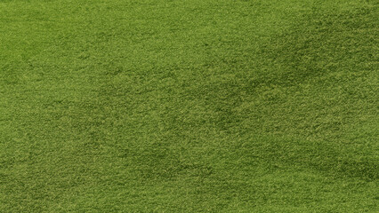 green grass background