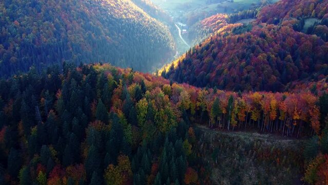 Aerial view of beautiful colorful autumn forest in sunlight, path in valley under steep comps