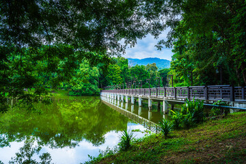 Obraz premium a public place leisure travel landscape the wooden bridge lake views at Ang Kaew Chiang Mai University and Doi Suthep nature forest Mountain views spring cloudy sky background with white cloud.