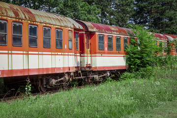 Fototapeta na wymiar abandoned old rusty passenger train wagons on railway in the forest