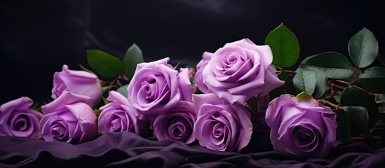 Gorgeous lavender colored roses and verdant foliage