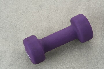 Purple colored rubber dumbbell for the gym
