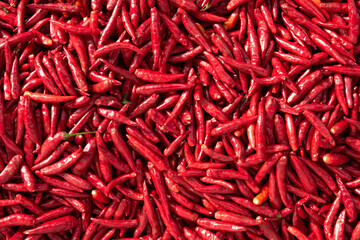 Fototapeta premium Ripe red hot chili peppers vegetable texture background. 