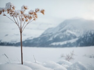 Fototapeta na wymiar winter snow background. AI Generative