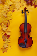 Old violin on yellow autumn maple leaves background. Top view, close-up..