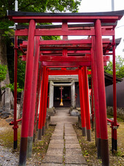 Row of torii gates leading to a small shrine (Ashikaga, Tochigi, Japan)