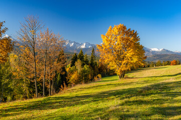 Mountain landscape, Tatra mountains panorama, colorful autumn view from Lapszanka pass, Poland and Slovakia.