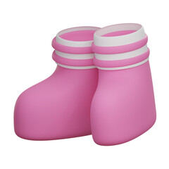 Women Shoes 3D Illustration