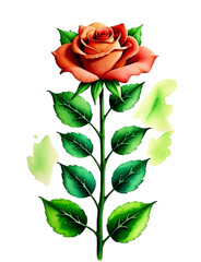 PNG Beautiful Red Rose With Green leaf. AI PNG Image. 