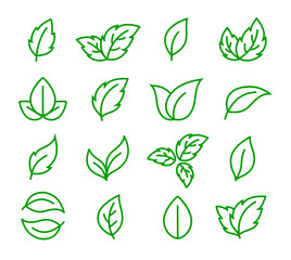 Green linear icons leaves, sprig and branches of plants set silhouettes