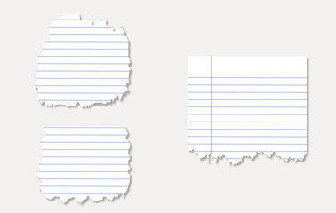 Torn sheets of notebook paper. Torn paper strips set. Vector