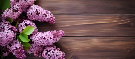 Lilac bouquet on wood backdrop