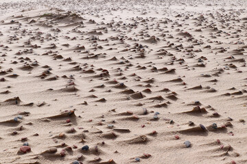 Pebbles on a sandy beach