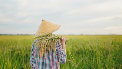 Back view of elderly asian woman farmer in straw hat holding rice on shoulders while walking in the...