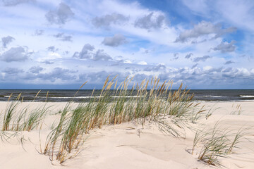 Grass and sand on the Baltic Sea coast - obrazy, fototapety, plakaty