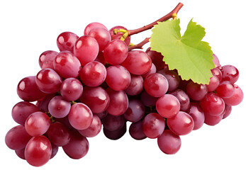 grape on the vine isolated on transparent or white background, png