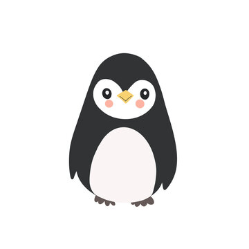penguin cartoon, illustration 