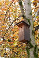 Bird house in autumn