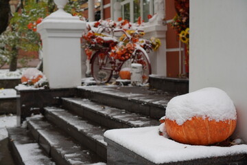 snow-covered large pumpkins on the steps at the entrance to the house against the backdrop of a...